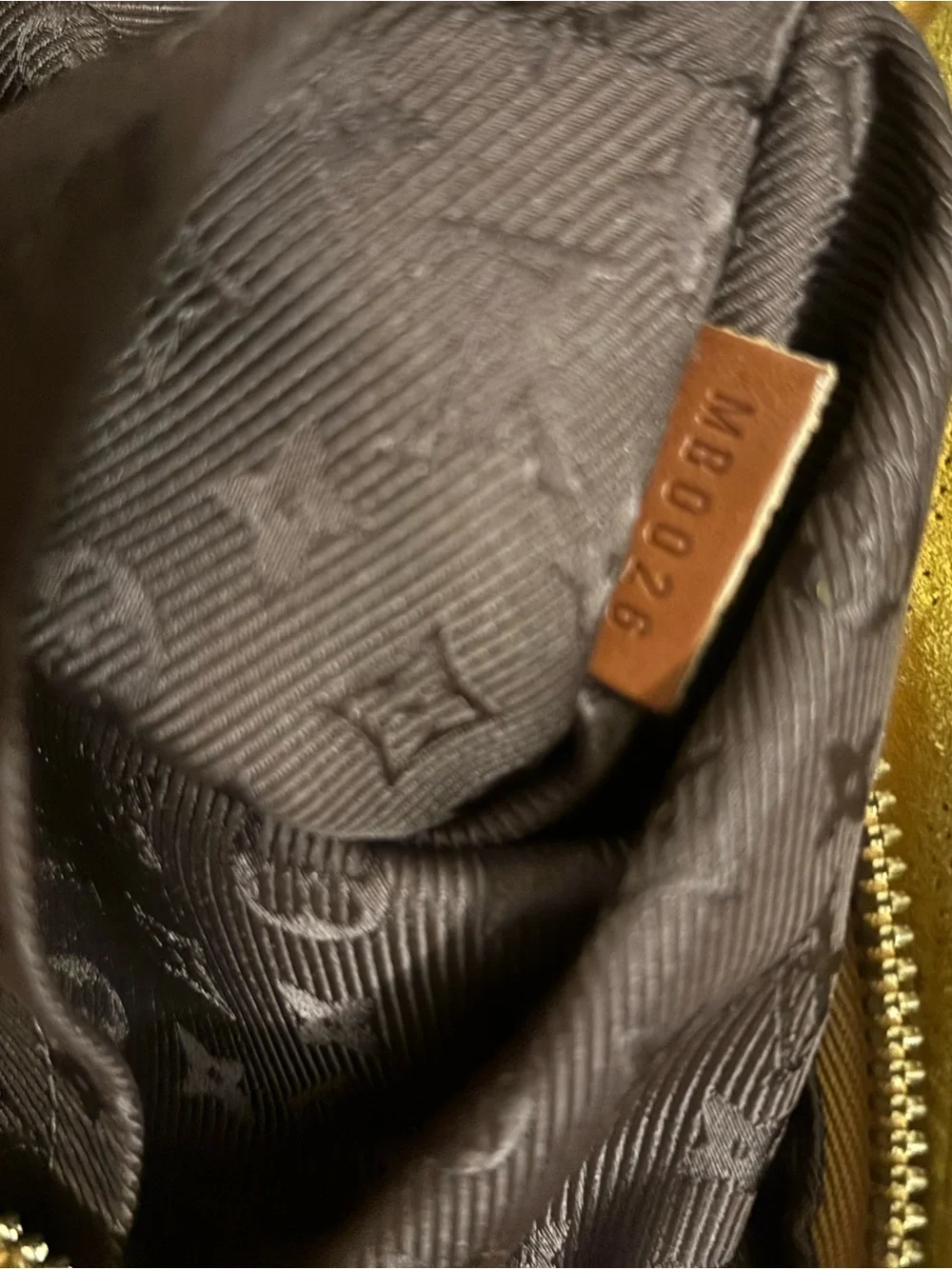 Louis Vuitton Onatah GM Suede Hobo with Brown Strap